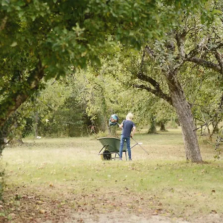 6p With Private Jacuzzi & Terrace On Domain *