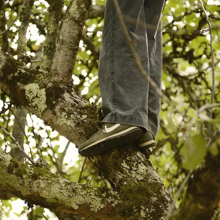 Vakantiehuis 6p With Private Jacuzzi & Terrace On Domain Meyrals