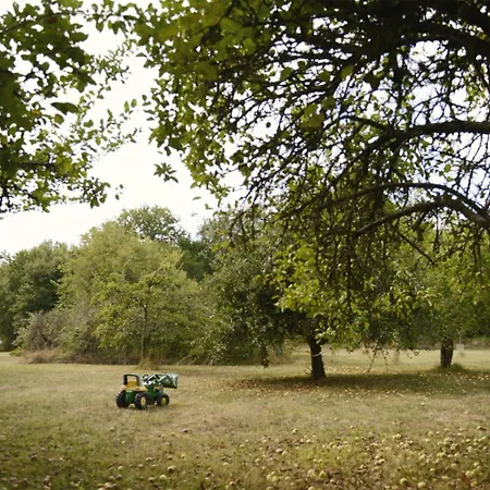 6p With Private Jacuzzi & Terrace On Domain Vakantiehuis