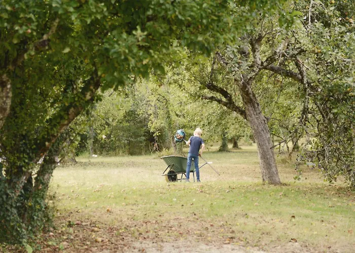 6p With Private Jacuzzi & Terrace On Domain *