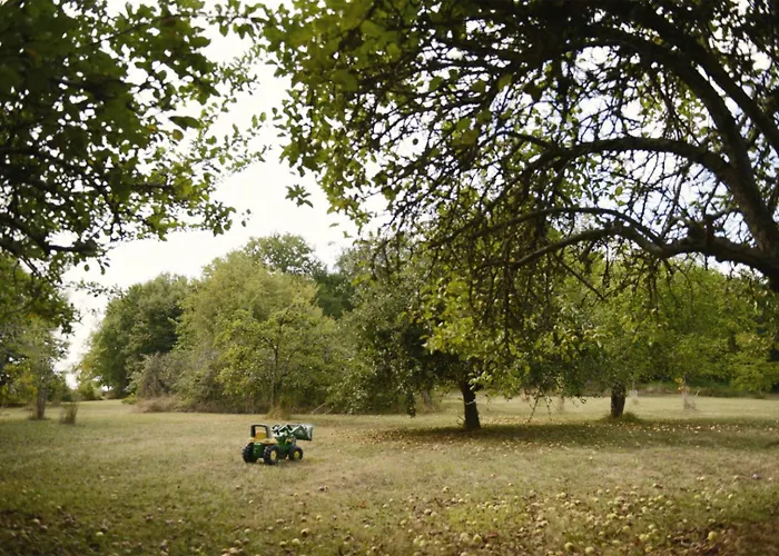 6p With Private Jacuzzi & Terrace On Domain Vakantiehuis